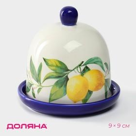 image for offer named Лимонница Доляна «Лимон», 9×9 см