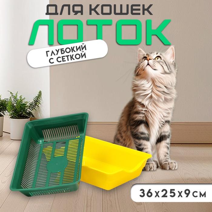 offer image