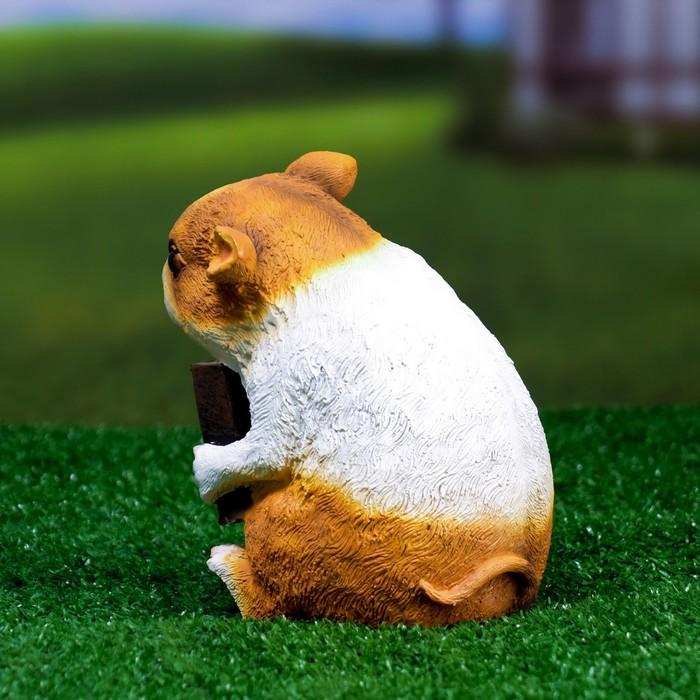 offer image