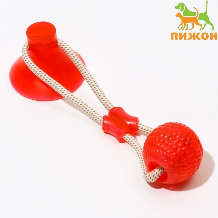 offer image