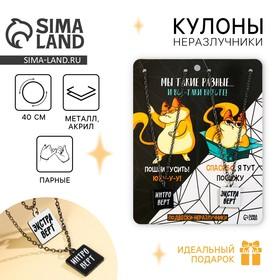 image for offer named Кулоны парные подвески «Мы такие разные»