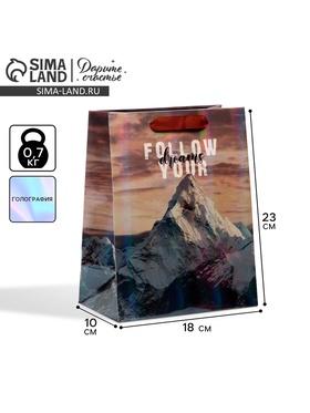 image for offer named Пакет подарочный ламинированный, упаковка, «Гора», радужная голография, MS 18 х 23 х 10 см