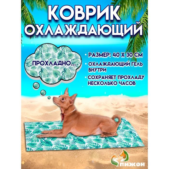 offer image