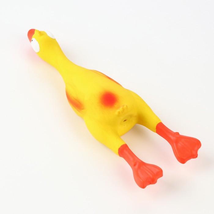 offer image