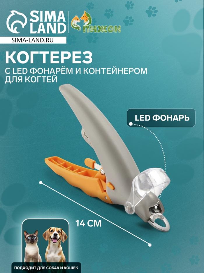 offer image