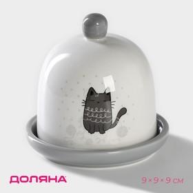 image for offer named Лимонница Доляна «Уютные коты», 9×9 см