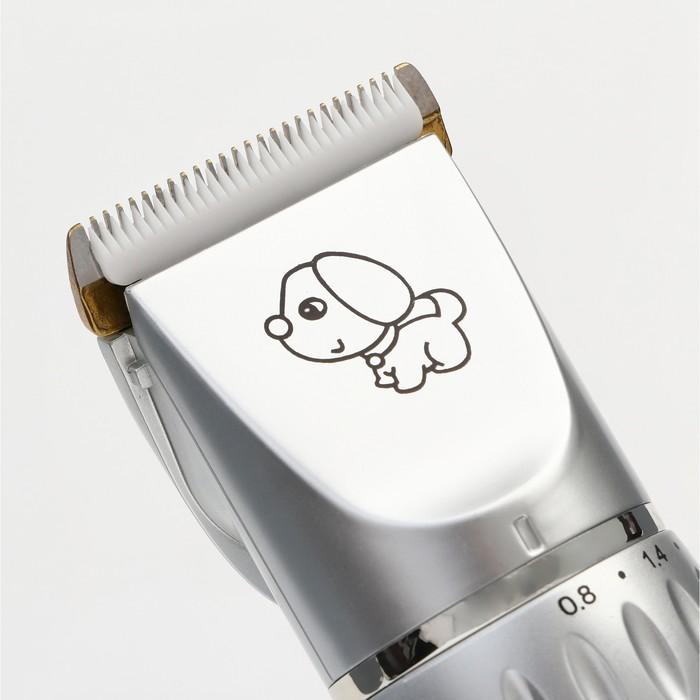 offer image
