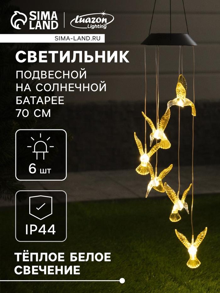 offer image