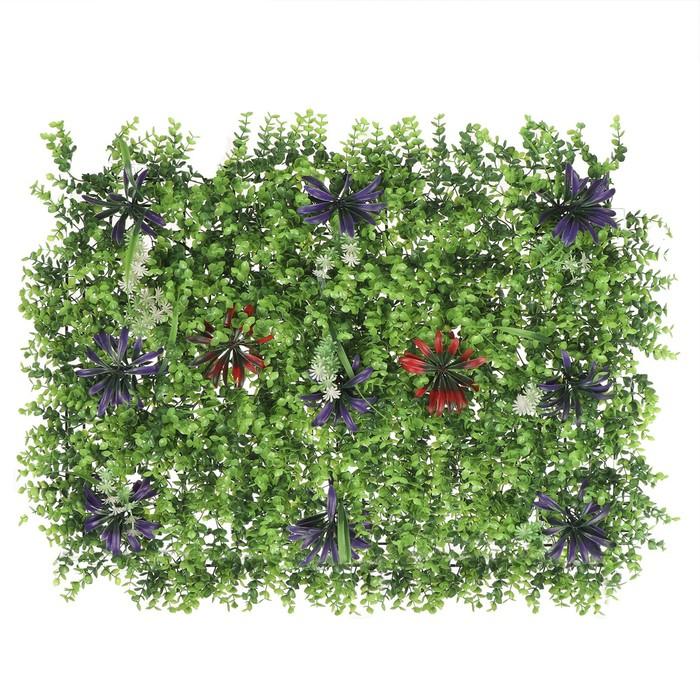 offer image