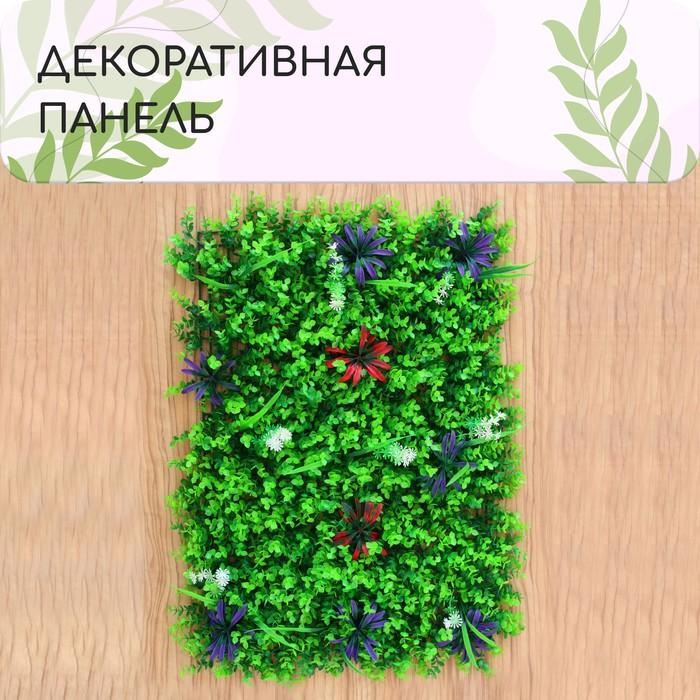 offer image