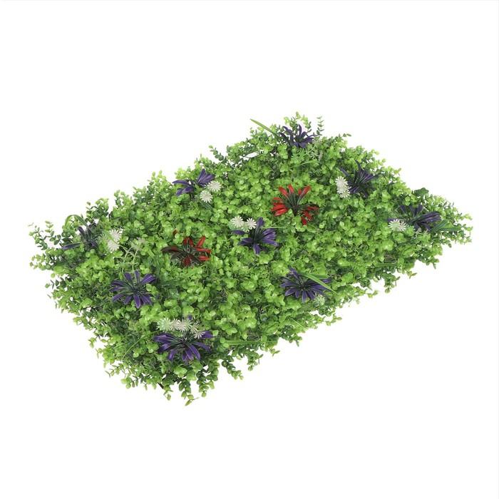 offer image