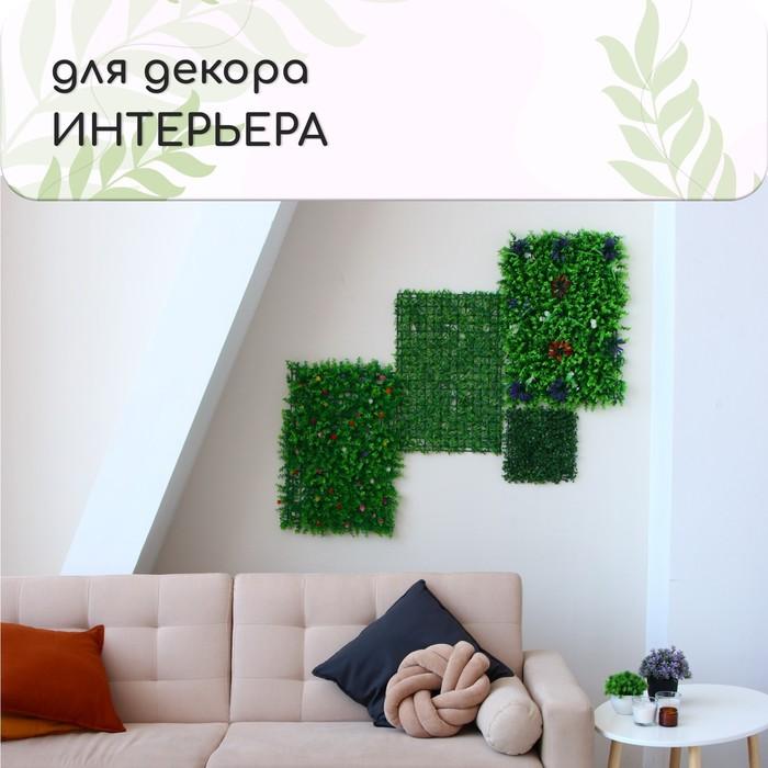 offer image
