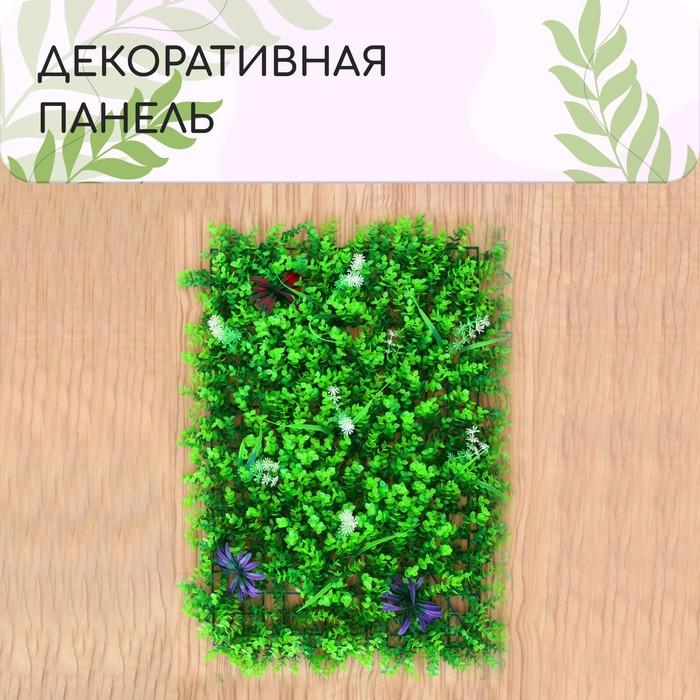 offer image