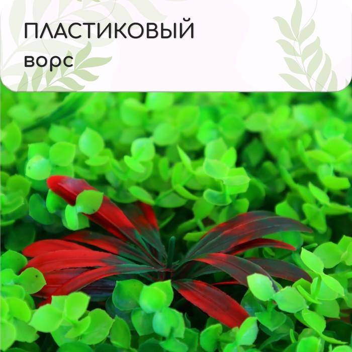 offer image