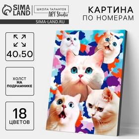 image for offer named Картина по номерам на холсте с подрамником «Белые котята», 40 х 50 см
