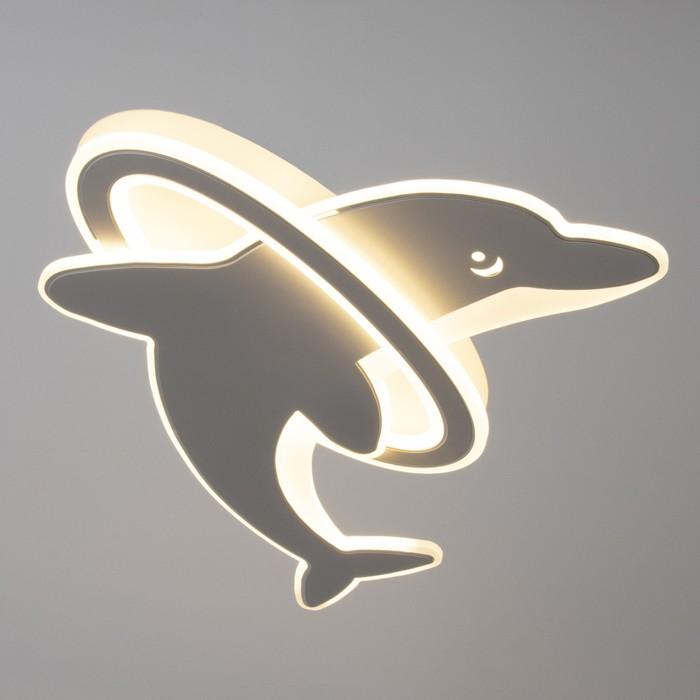 offer image