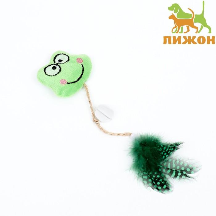 offer image
