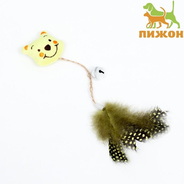 offer image