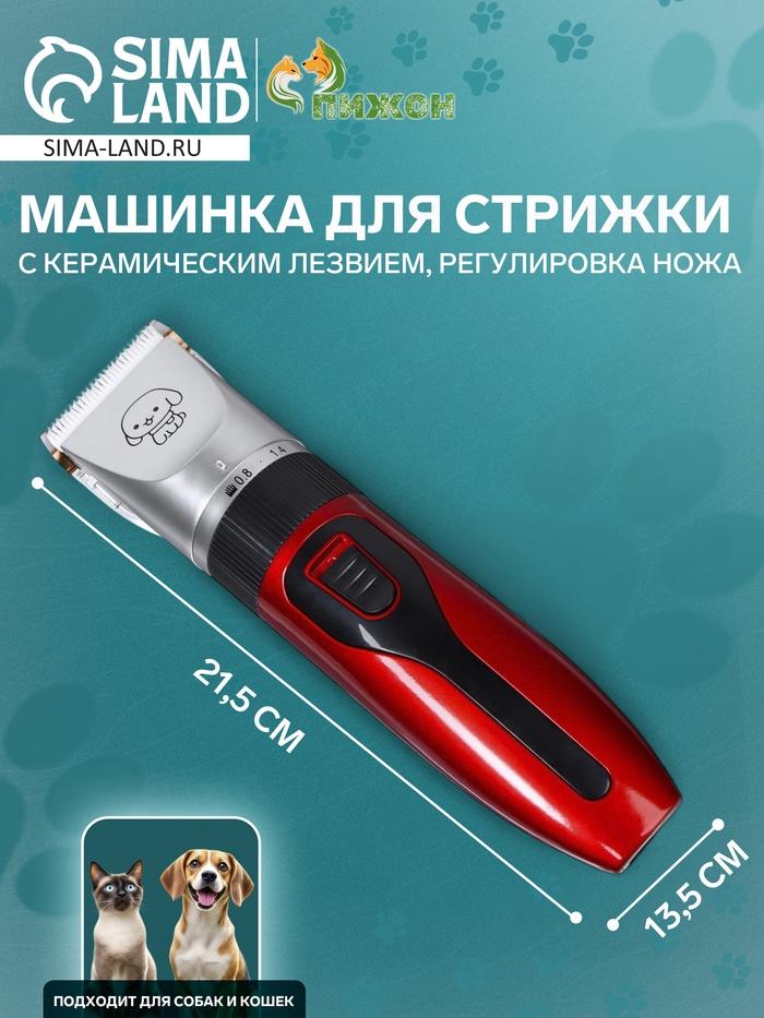 offer image