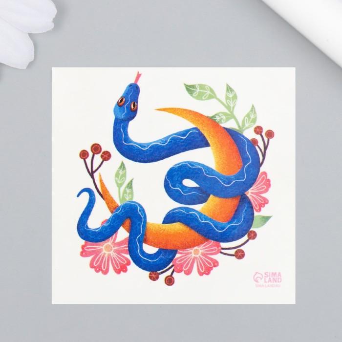 offer image