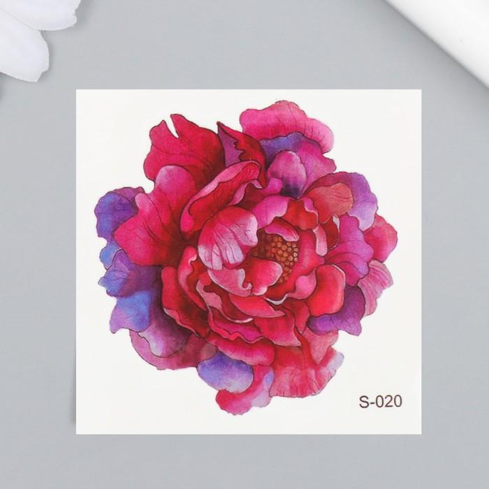 offer image