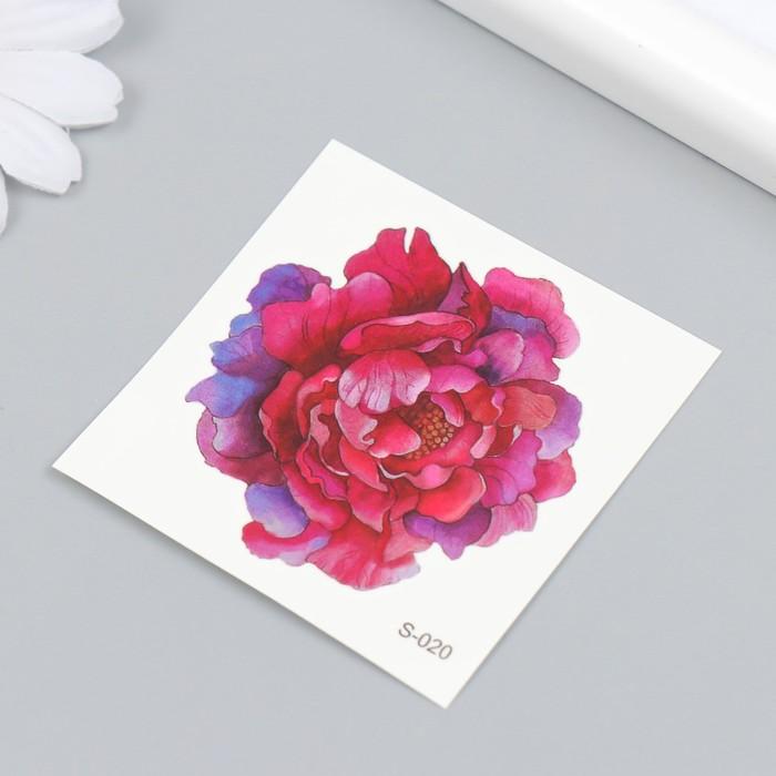 offer image