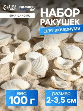 image for offer named Набор ракушек, 2 - 3,5 см, 100 г