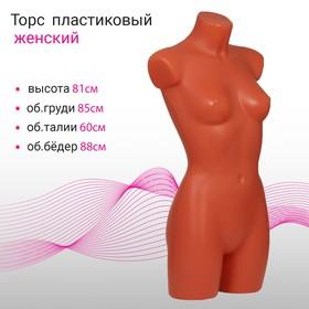 image for offer named Торс женский удлиненный, 85×60×88 см, цвет телесный