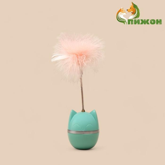 offer image