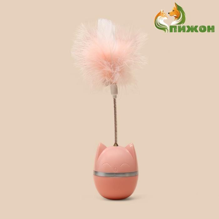 offer image