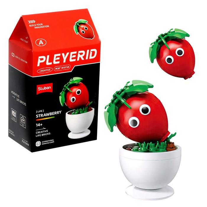 offer image