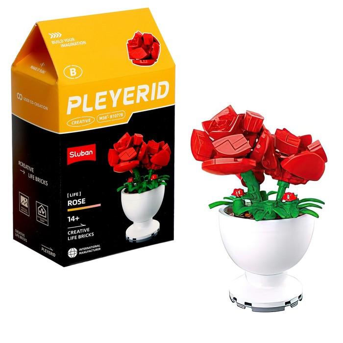 offer image