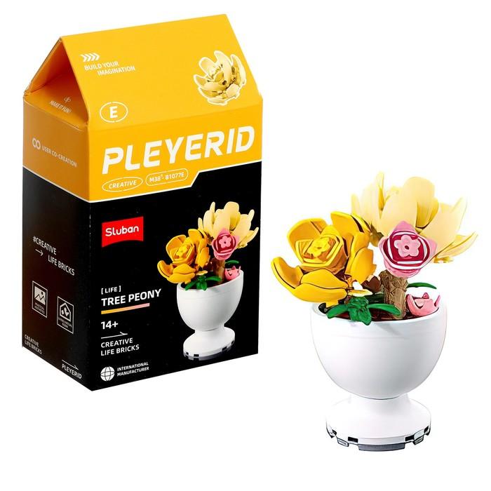 offer image