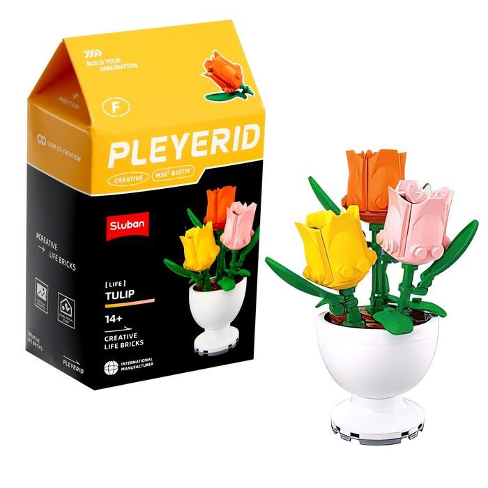 offer image