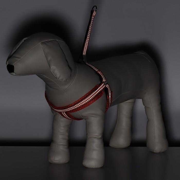 offer image