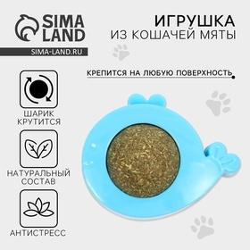 image for offer named Игрушка для кошек «Кит» из кошачьей мяты