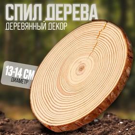 image for offer named Деревянный декор «Спил дерева. Сосна», размер: от 13 до 14 см