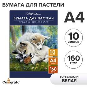 image for offer named Бумага для пастели А4, 10 листов "Щенки", блок 160 г/м2, в папке