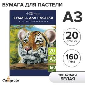 image for offer named Бумага для пастели А3, 20 листов "Тигр", блок 160 г/ г/м², в папке