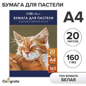 image for offer named Бумага для пастели А4, 20 листов "Кот", блок 160 г/м2, в папке