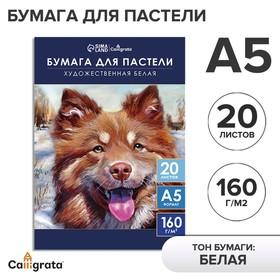 image for offer named Бумага для пастели А5, 20 листов "Собака", блок 160 г/м2, в папке
