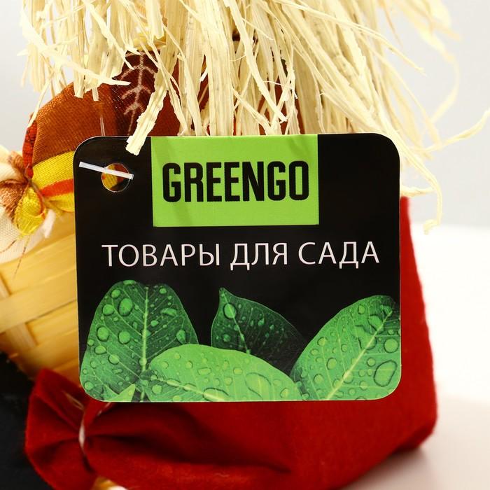 offer image