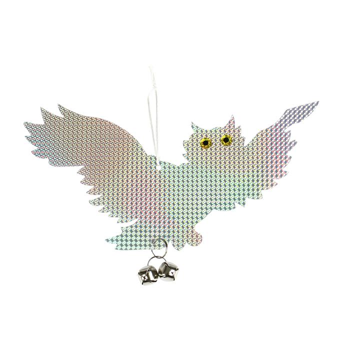 offer image