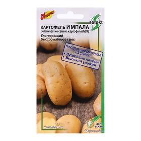 image for offer named Семена Картофель "Импала", 25 шт