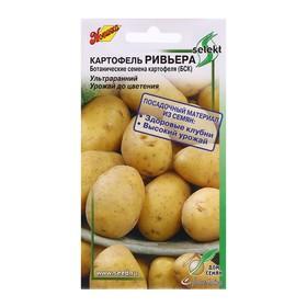 image for offer named Семена Картофель "Ривьера", 25 шт