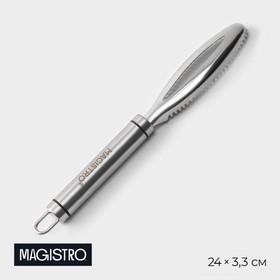 image for offer named Рыбочистка Magistro Solid, нержавеющая сталь, цвет хромированный
