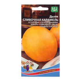 image for offer named Семена Дыня "Сливочная Карамель", 12 шт