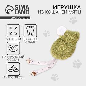 image for offer named Игрушка для кошек «Мышка» из кошачьей мяты, 6 х 1,5 см