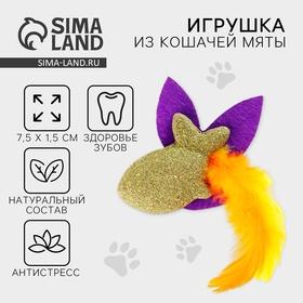 image for offer named Игрушка для кошек «Радужная рыбка» из кошачьей мяты, 7,5 х 1,5 см