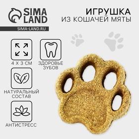 image for offer named Игрушка для кошек «Лапа» из кошачьей мяты, 5,5 х 1,5 см